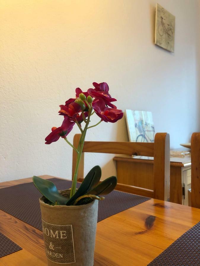 Apartaments S'Arenella كاذاكيس المظهر الخارجي الصورة